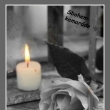 Sl�vek + 25.10.2024
