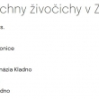 Z�chrann� stanice AVES m� nov� webovky a i my tam m�me svoje m�sto